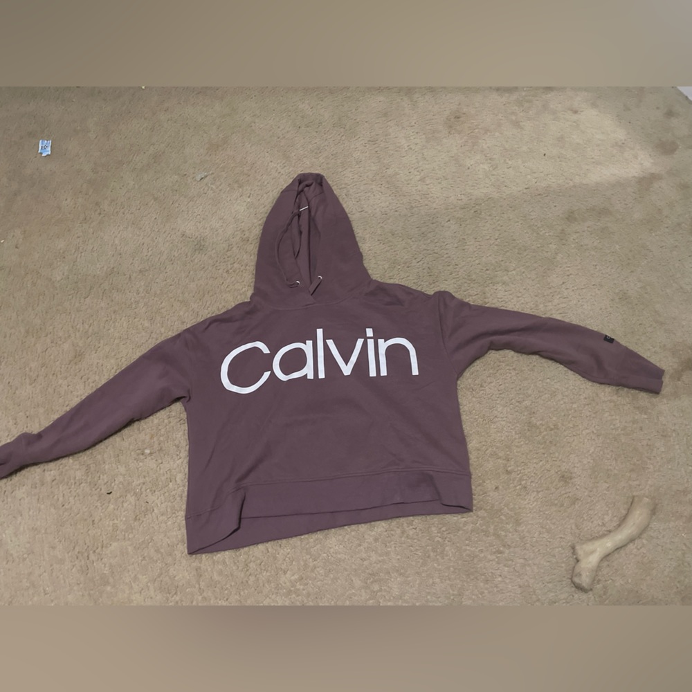 Purple ish hoodie